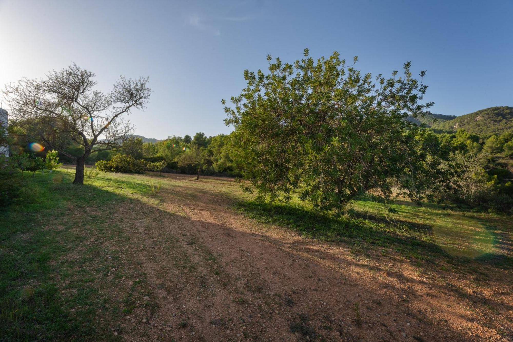 Villa Great Paradise San José Εξωτερικό φωτογραφία